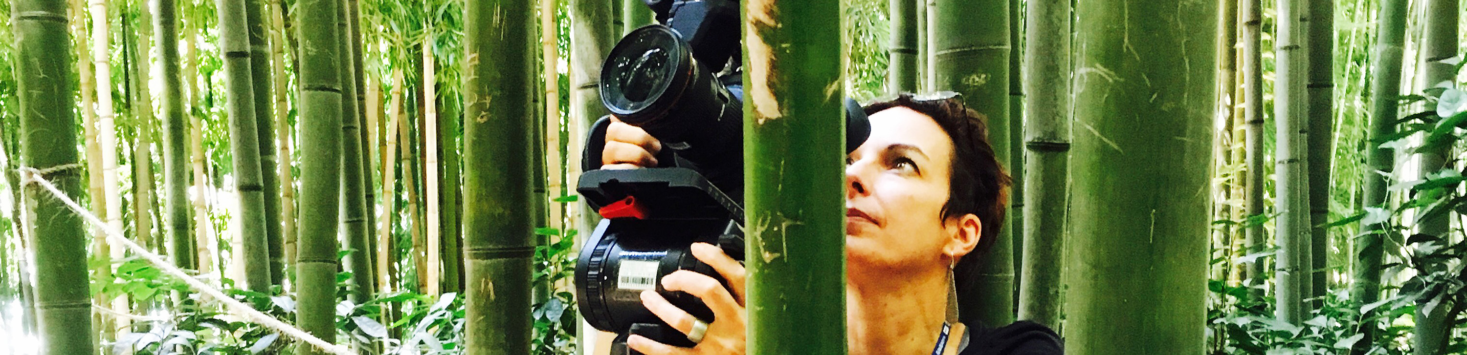 Betty Sargeant Artist